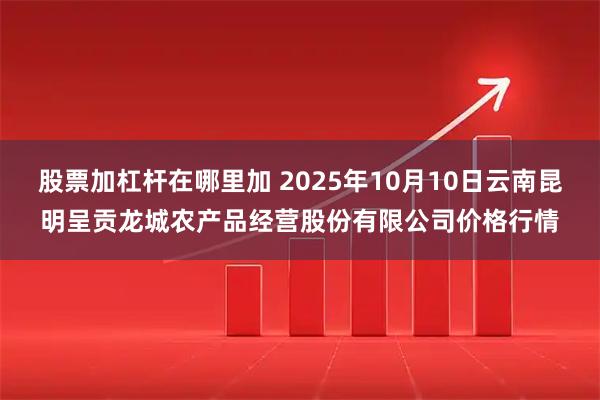 股票加杠杆在哪里加 2025年10月10日云南昆明呈贡龙城农产品经营股份有限公司价格行情