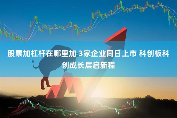 股票加杠杆在哪里加 3家企业同日上市 科创板科创成长层启新程