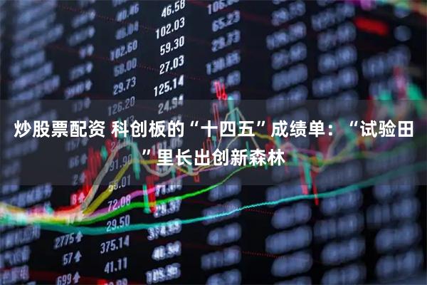 炒股票配资 科创板的“十四五”成绩单：“试验田”里长出创新森林